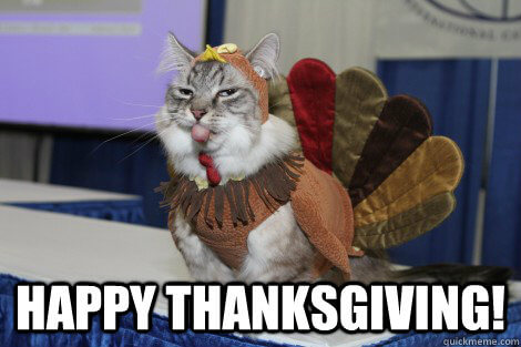 Thanksgiving Funny Pictures
