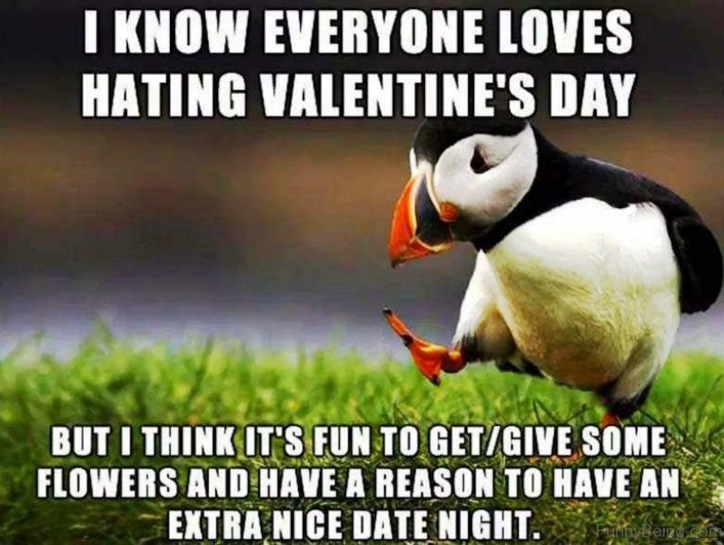 Funny Valentines Day Meme Pictures